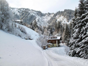 Apartment Daniel by Interhome Hollersbach Im Pinzgau